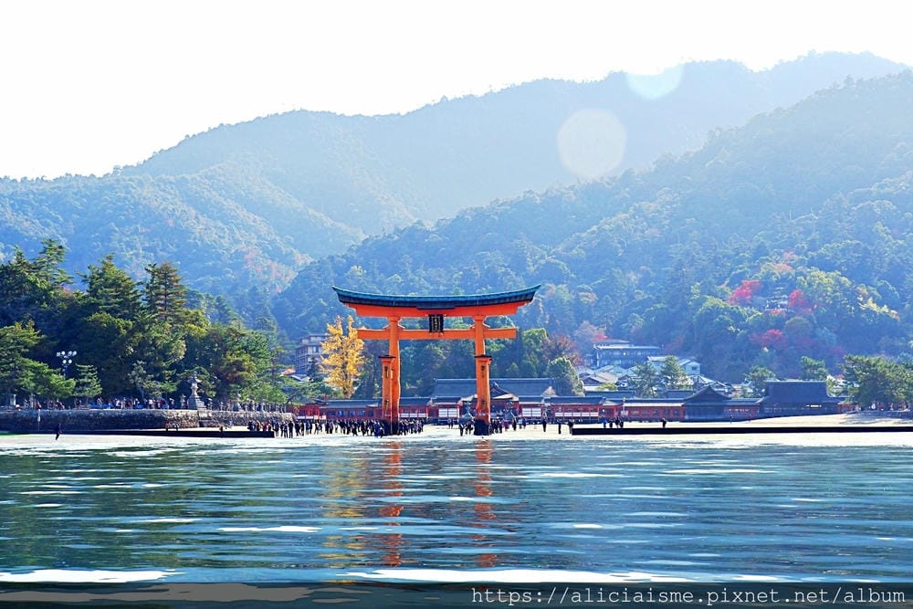 【廣島縣 | 宮島】島田水產~跟著漁師,近觀海上牡蠣筏、採收 【廣島縣 | 宮島】島田水產~跟著漁師,近觀海上牡蠣筏、採收