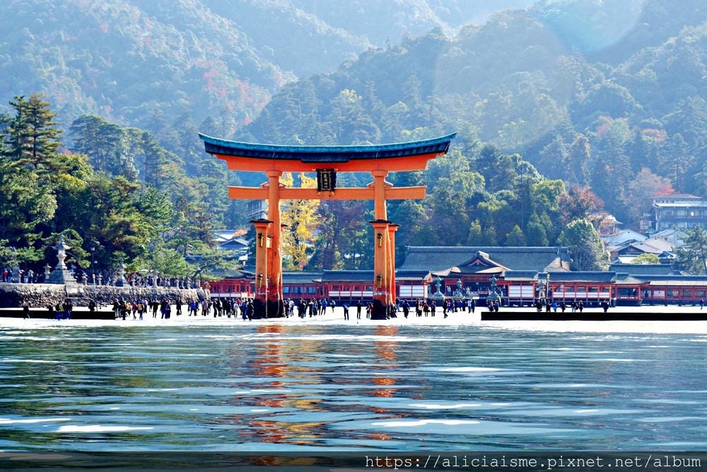 【廣島縣 | 宮島】島田水產~跟著漁師,近觀海上牡蠣筏、採收 【廣島縣 | 宮島】島田水產~跟著漁師,近觀海上牡蠣筏、採收