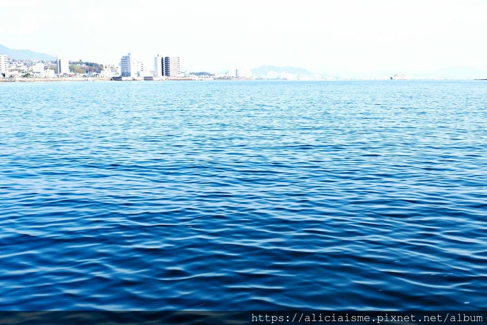 【廣島縣 | 宮島】島田水產~跟著漁師,近觀海上牡蠣筏、採收 【廣島縣 | 宮島】島田水產~跟著漁師,近觀海上牡蠣筏、採收