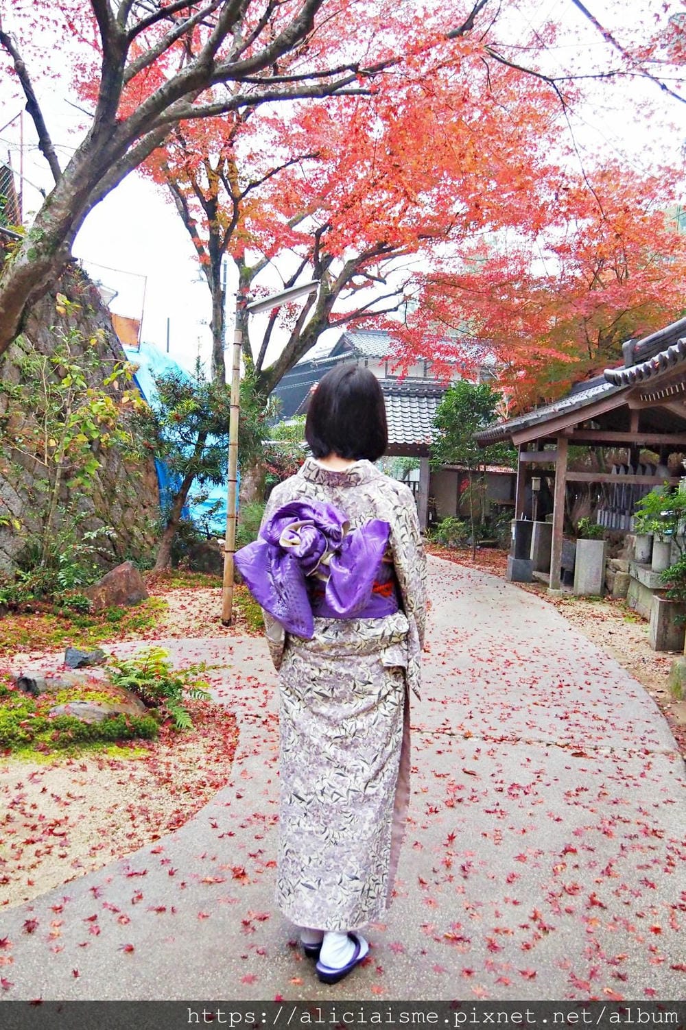 【廣島縣 | 宮島】300年禪宗寺院裡,著傳統和服(贈送),一同品味體驗茶道、書道的日本文化美學@okeiko Japan