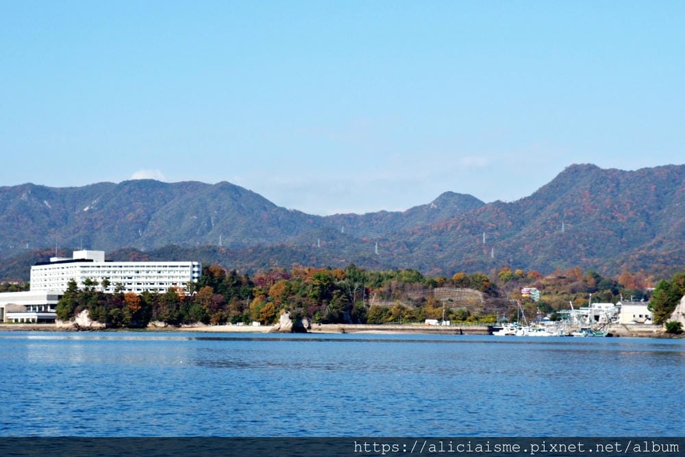 【廣島縣 | 宮島】島田水產~跟著漁師,近觀海上牡蠣筏、採收 【廣島縣 | 宮島】島田水產~跟著漁師,近觀海上牡蠣筏、採收