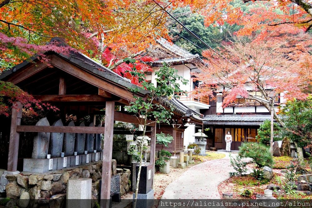 【廣島縣 | 宮島】300年禪宗寺院裡,著傳統和服(贈送),一同品味體驗茶道、書道的日本文化美學@okeiko Japan