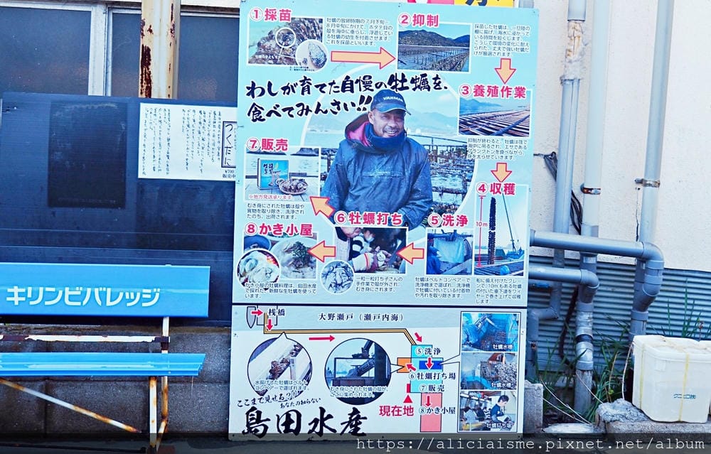 【廣島縣 | 宮島】島田水產~跟著漁師,近觀海上牡蠣筏、採收 【廣島縣 | 宮島】島田水產~跟著漁師,近觀海上牡蠣筏、採收