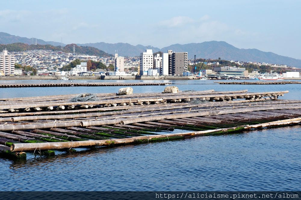 【廣島縣 | 宮島】島田水產~跟著漁師,近觀海上牡蠣筏、採收 【廣島縣 | 宮島】島田水產~跟著漁師,近觀海上牡蠣筏、採收