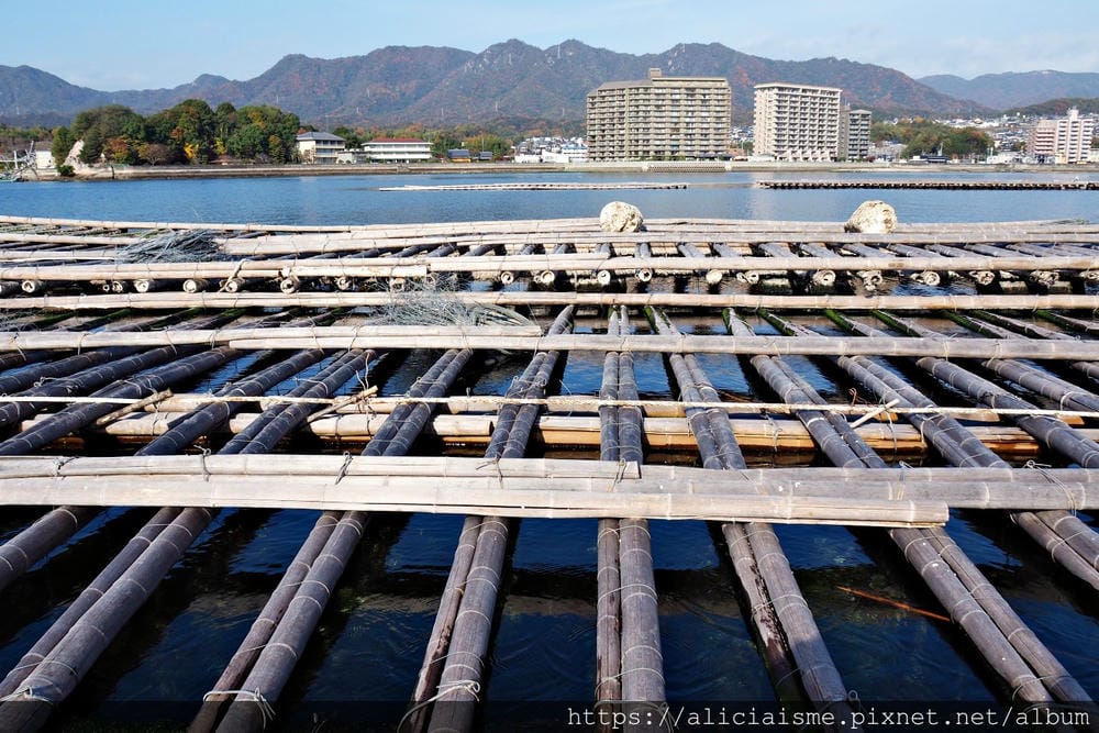 【廣島縣 | 宮島】島田水產~跟著漁師,近觀海上牡蠣筏、採收 【廣島縣 | 宮島】島田水產~跟著漁師,近觀海上牡蠣筏、採收