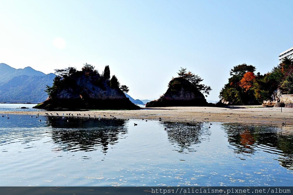 【廣島縣 | 宮島】島田水產~跟著漁師,近觀海上牡蠣筏、採收 【廣島縣 | 宮島】島田水產~跟著漁師,近觀海上牡蠣筏、採收