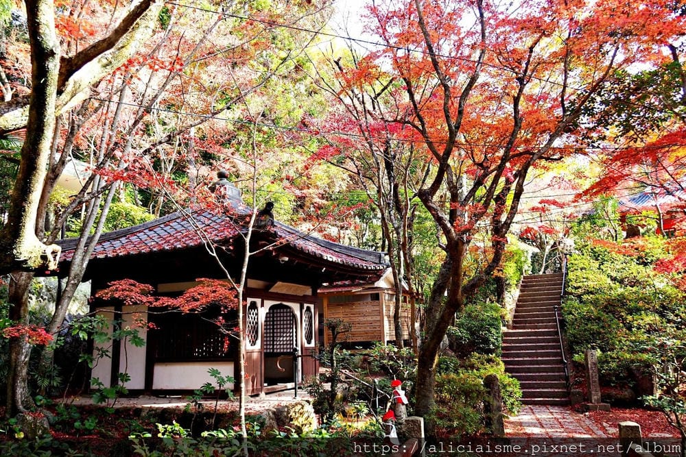 【廣島】三瀧山絕景展望台、三瀧寺:跟著在地人的廣島市區穴場一日遊鐵馬之旅by「sokoiko!」