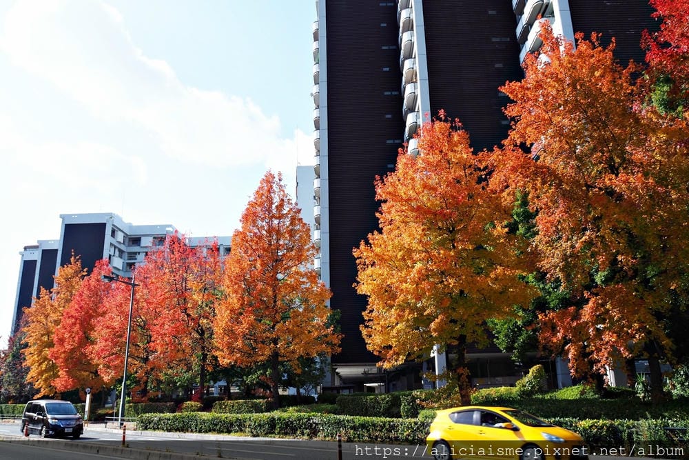 【廣島】三瀧山絕景展望台、三瀧寺:跟著在地人的廣島市區穴場一日遊鐵馬之旅by「sokoiko!」