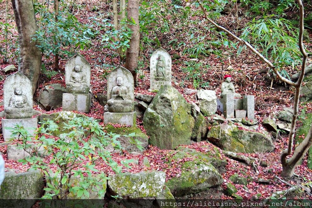 【廣島】三瀧山絕景展望台、三瀧寺:跟著在地人的廣島市區穴場一日遊鐵馬之旅by「sokoiko!」