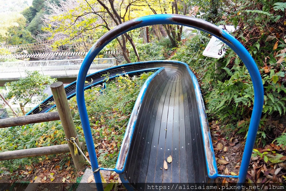 【廣島】三瀧山絕景展望台、三瀧寺:跟著在地人的廣島市區穴場一日遊鐵馬之旅by「sokoiko!」