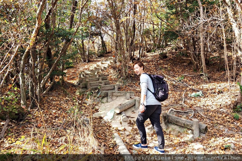 【廣島】三瀧山絕景展望台、三瀧寺:跟著在地人的廣島市區穴場一日遊鐵馬之旅by「sokoiko!」