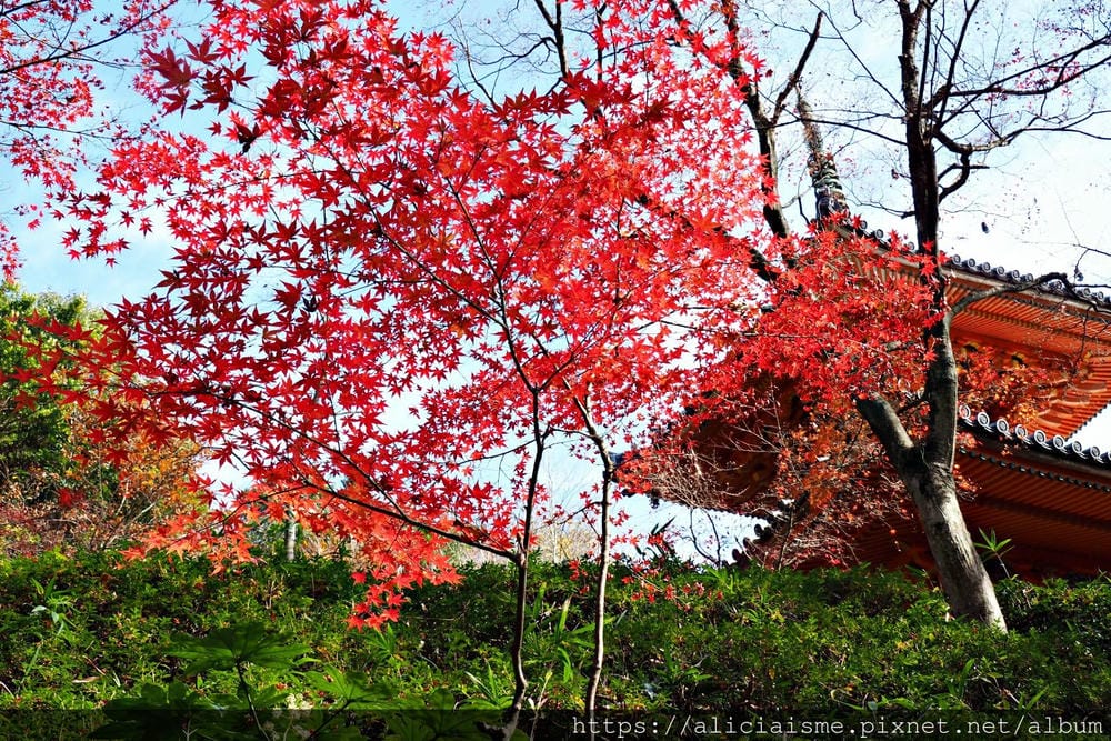 【廣島】三瀧山絕景展望台、三瀧寺:跟著在地人的廣島市區穴場一日遊鐵馬之旅by「sokoiko!」
