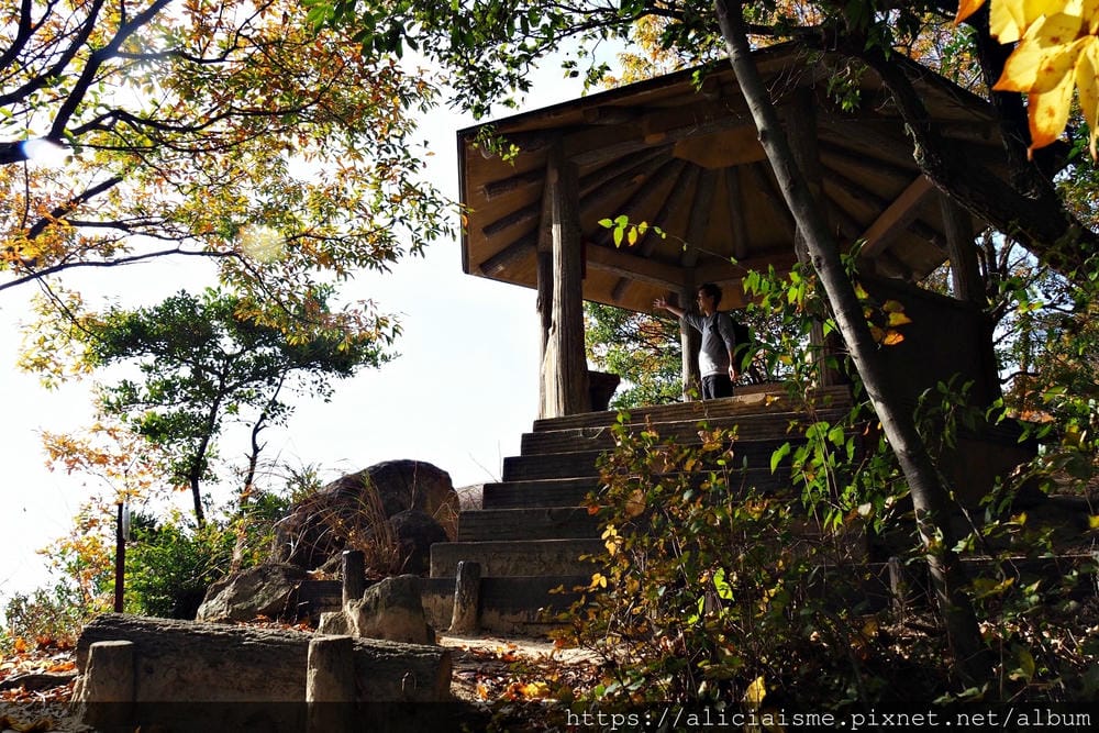 【廣島】三瀧山絕景展望台、三瀧寺:跟著在地人的廣島市區穴場一日遊鐵馬之旅by「sokoiko!」
