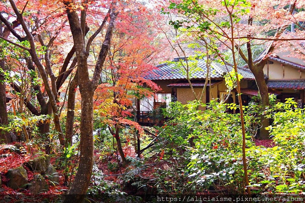 【廣島】三瀧山絕景展望台、三瀧寺:跟著在地人的廣島市區穴場一日遊鐵馬之旅by「sokoiko!」