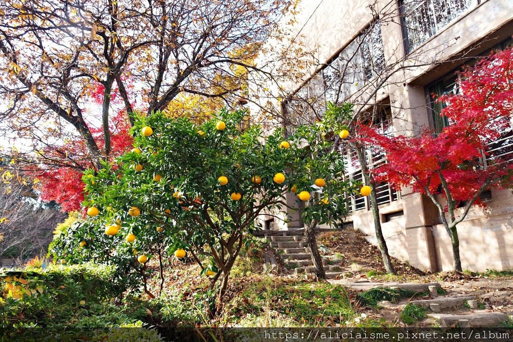 【廣島】三瀧山絕景展望台、三瀧寺:跟著在地人的廣島市區穴場一日遊鐵馬之旅by「sokoiko!」