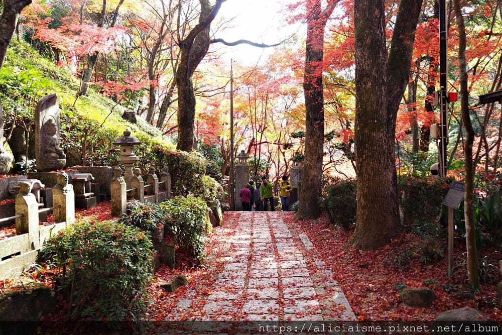 【廣島】三瀧山絕景展望台、三瀧寺:跟著在地人的廣島市區穴場一日遊鐵馬之旅by「sokoiko!」