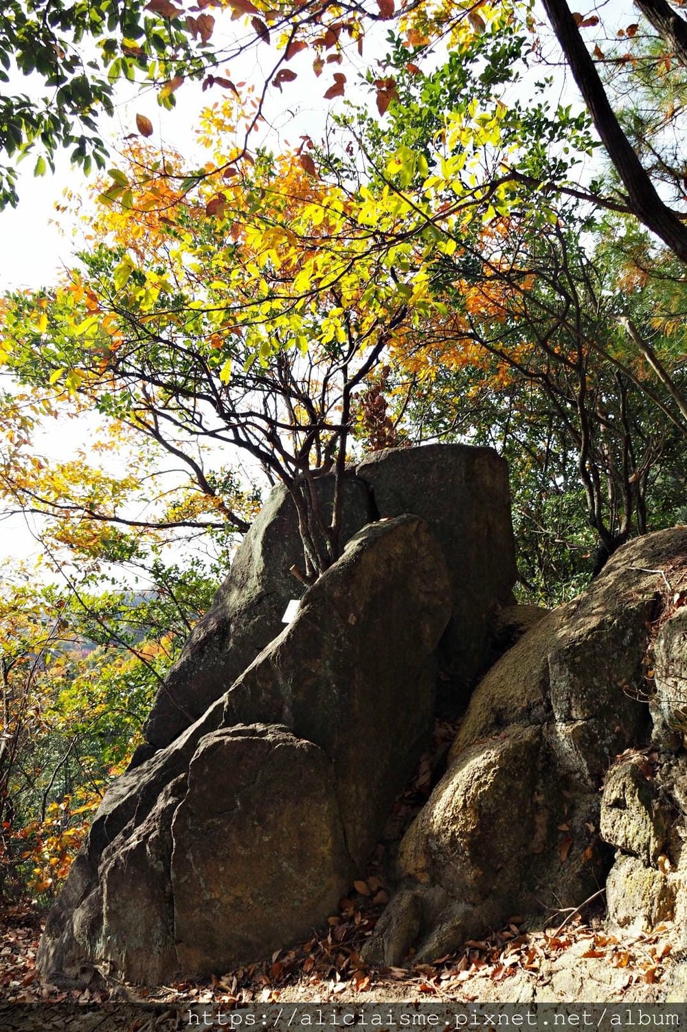 【廣島】三瀧山絕景展望台、三瀧寺:跟著在地人的廣島市區穴場一日遊鐵馬之旅by「sokoiko!」