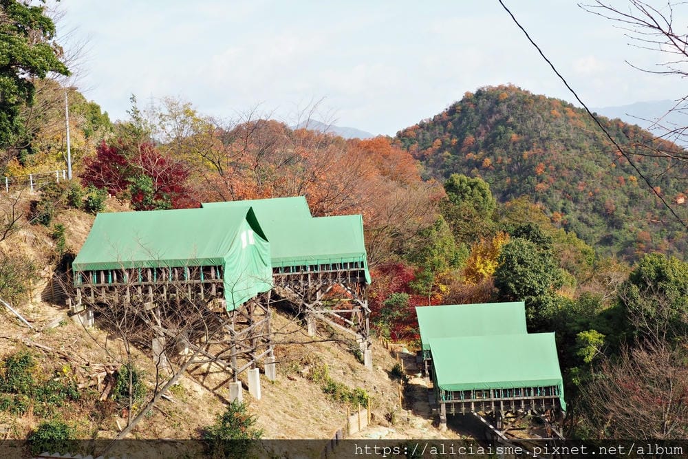 【廣島】三瀧山絕景展望台、三瀧寺:跟著在地人的廣島市區穴場一日遊鐵馬之旅by「sokoiko!」