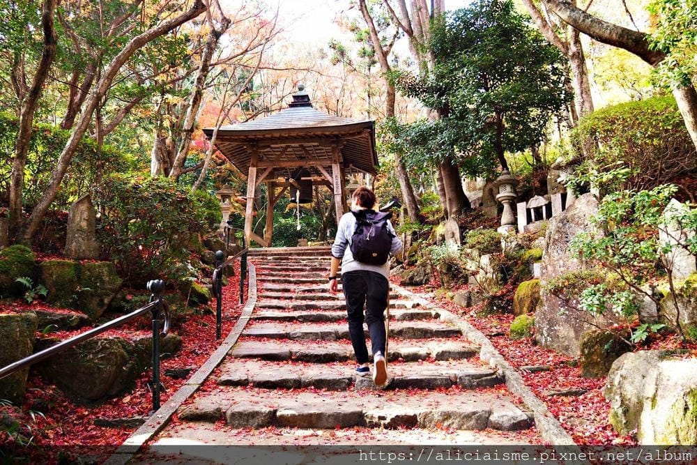 【廣島】三瀧山絕景展望台、三瀧寺:跟著在地人的廣島市區穴場一日遊鐵馬之旅by「sokoiko!」