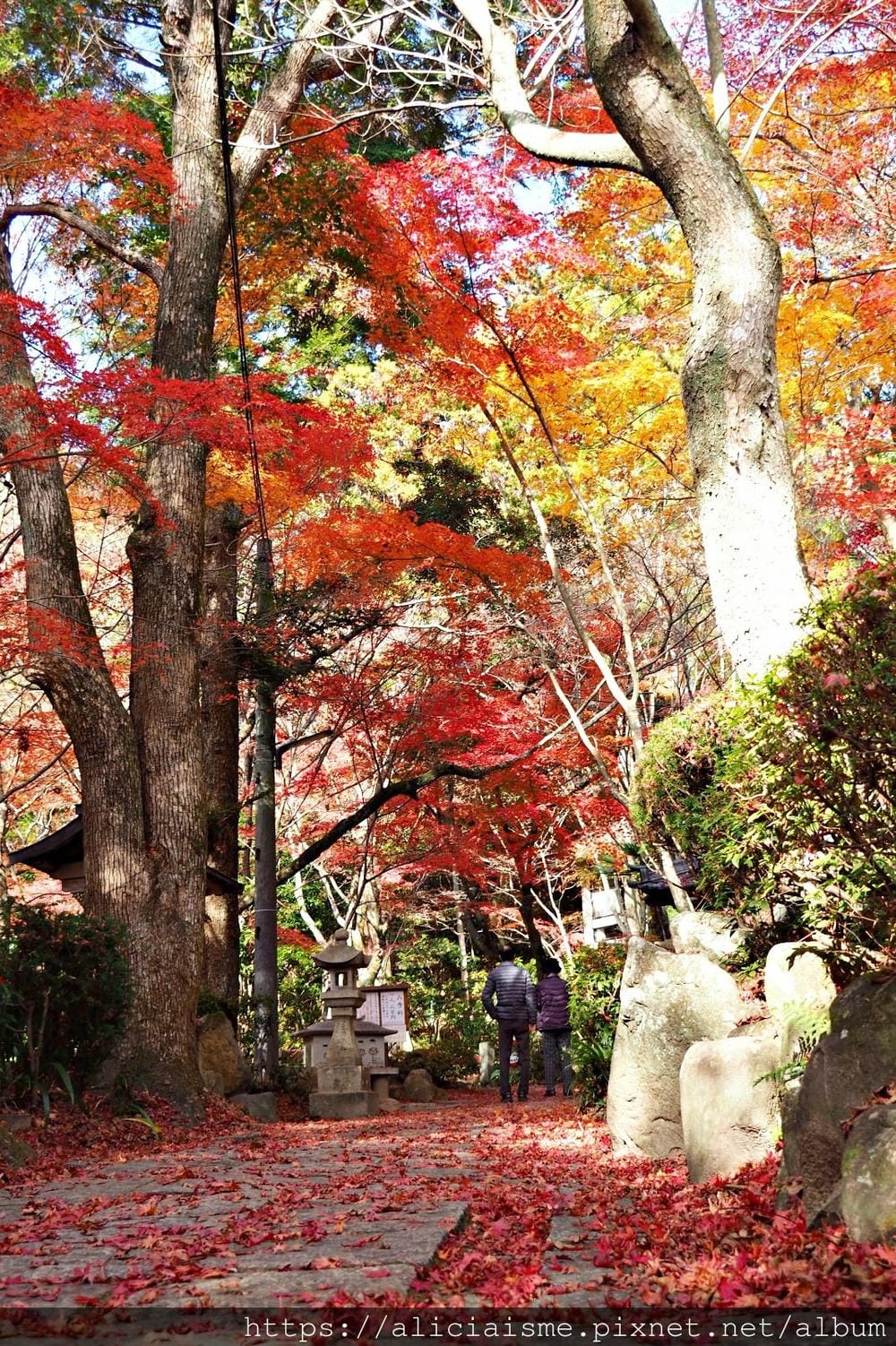 【廣島】三瀧山絕景展望台、三瀧寺:跟著在地人的廣島市區穴場一日遊鐵馬之旅by「sokoiko!」