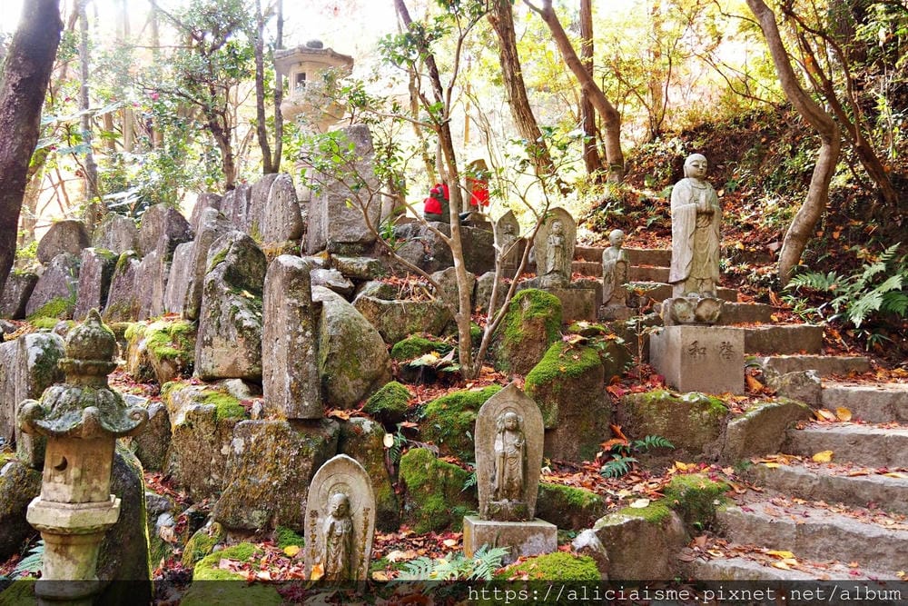 【廣島】三瀧山絕景展望台、三瀧寺:跟著在地人的廣島市區穴場一日遊鐵馬之旅by「sokoiko!」
