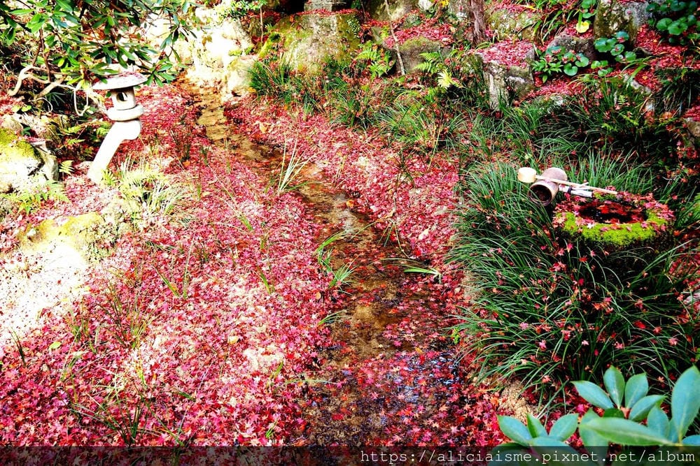 【廣島】三瀧山絕景展望台、三瀧寺:跟著在地人的廣島市區穴場一日遊鐵馬之旅by「sokoiko!」