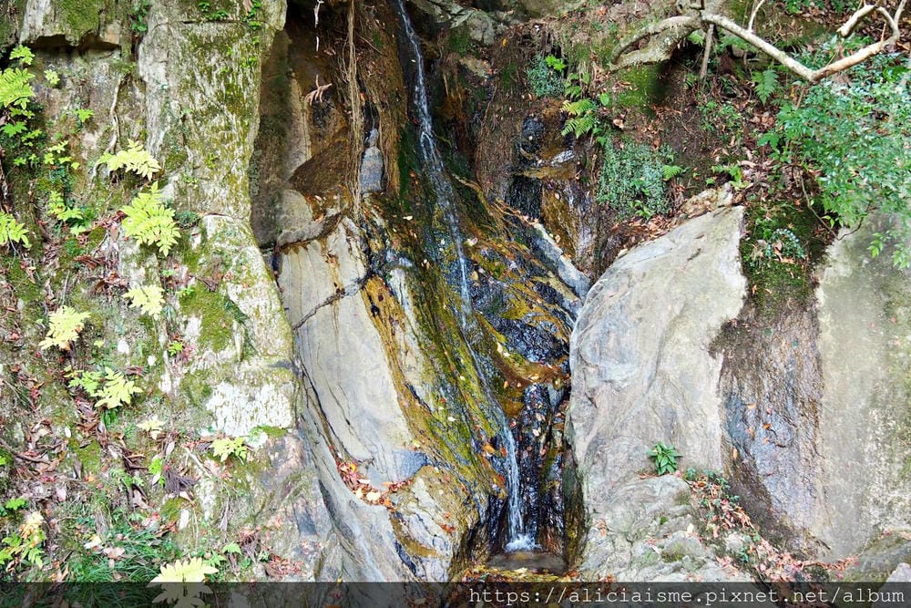 【廣島】三瀧山絕景展望台、三瀧寺:跟著在地人的廣島市區穴場一日遊鐵馬之旅by「sokoiko!」
