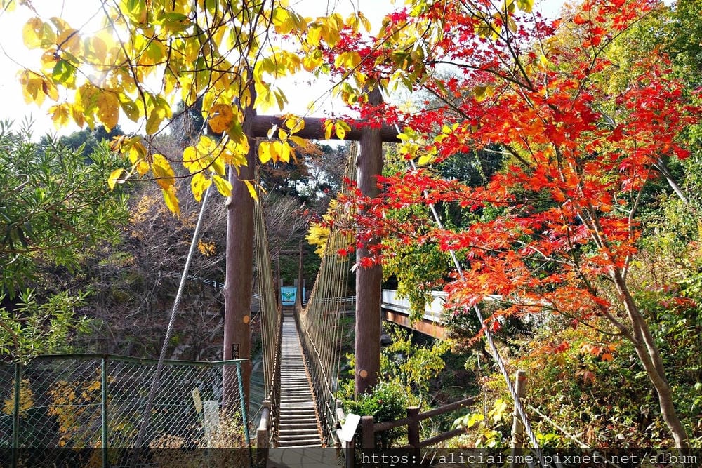 【廣島】三瀧山絕景展望台、三瀧寺:跟著在地人的廣島市區穴場一日遊鐵馬之旅by「sokoiko!」