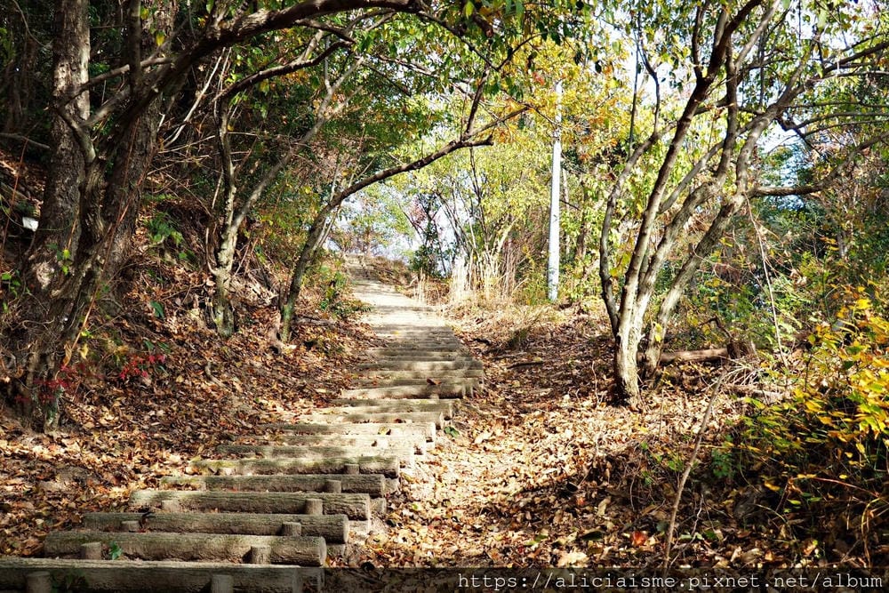 【廣島】三瀧山絕景展望台、三瀧寺:跟著在地人的廣島市區穴場一日遊鐵馬之旅by「sokoiko!」