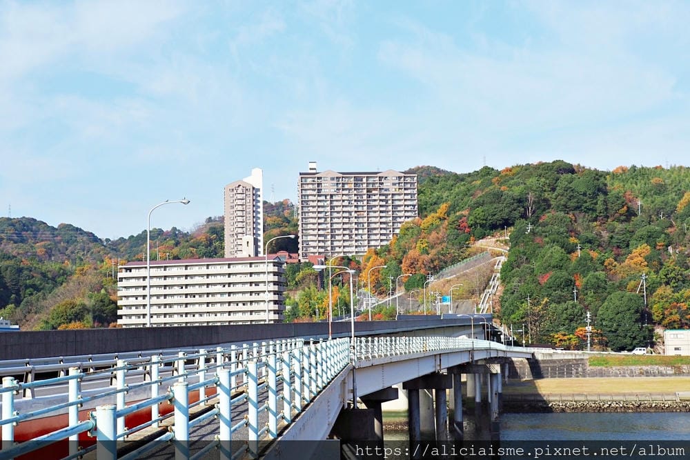 【廣島】三瀧山絕景展望台、三瀧寺:跟著在地人的廣島市區穴場一日遊鐵馬之旅by「sokoiko!」