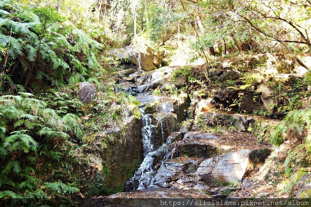 【廣島】三瀧山絕景展望台、三瀧寺:跟著在地人的廣島市區穴場一日遊鐵馬之旅by「sokoiko!」