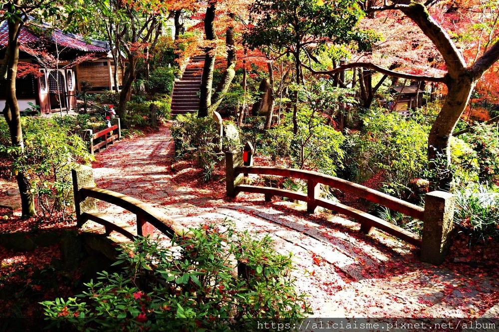 【廣島】三瀧山絕景展望台、三瀧寺:跟著在地人的廣島市區穴場一日遊鐵馬之旅by「sokoiko!」