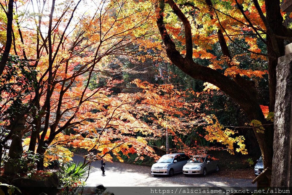 【廣島】三瀧山絕景展望台、三瀧寺:跟著在地人的廣島市區穴場一日遊鐵馬之旅by「sokoiko!」