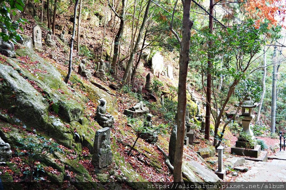 【廣島】三瀧山絕景展望台、三瀧寺:跟著在地人的廣島市區穴場一日遊鐵馬之旅by「sokoiko!」