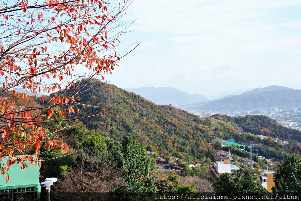 【廣島】三瀧山絕景展望台、三瀧寺:跟著在地人的廣島市區穴場一日遊鐵馬之旅by「sokoiko!」