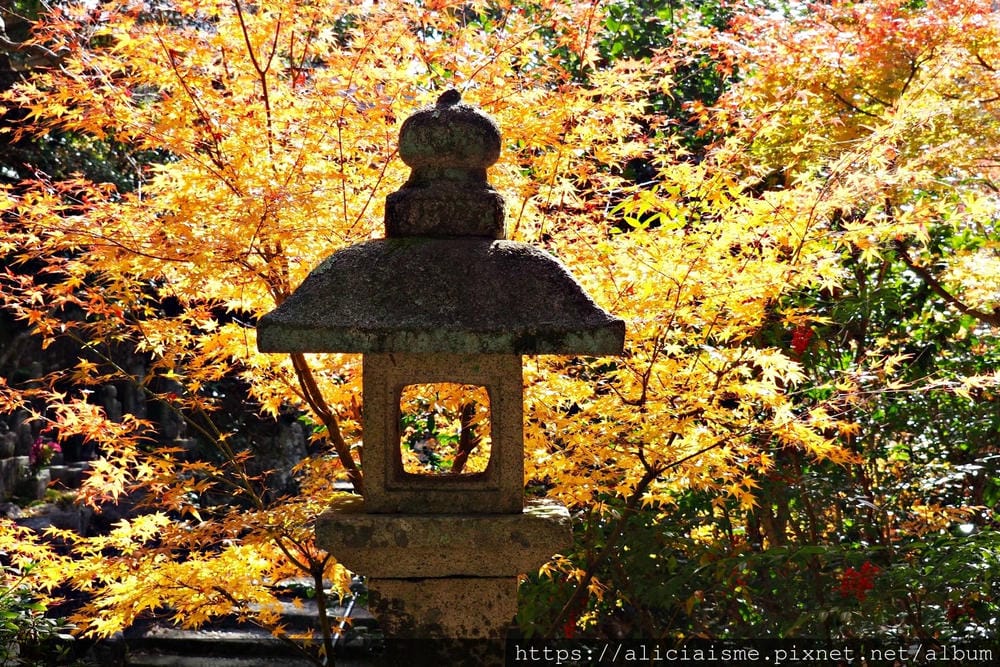 【廣島】三瀧山絕景展望台、三瀧寺:跟著在地人的廣島市區穴場一日遊鐵馬之旅by「sokoiko!」