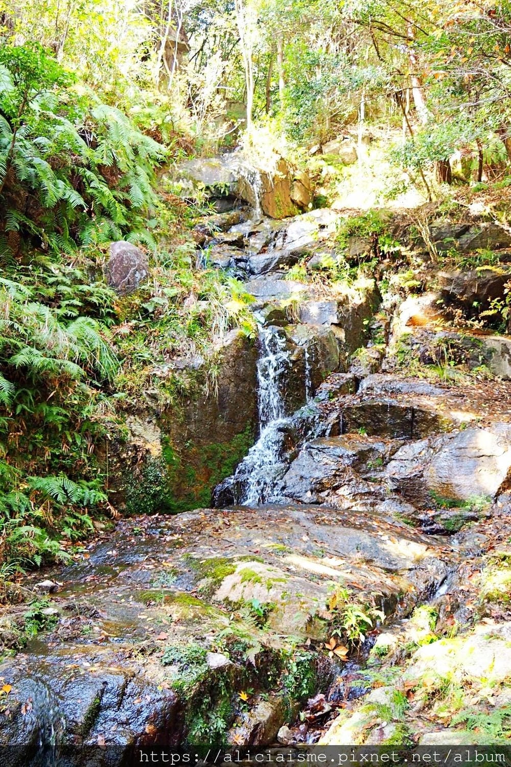 【廣島】三瀧山絕景展望台、三瀧寺:跟著在地人的廣島市區穴場一日遊鐵馬之旅by「sokoiko!」