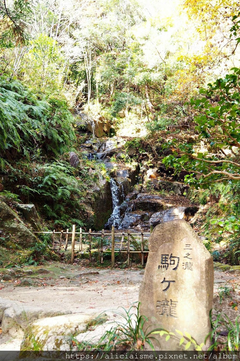 【廣島】三瀧山絕景展望台、三瀧寺：跟著在地人的廣島市區穴場一日遊鐵馬之旅by「sokoiko!」