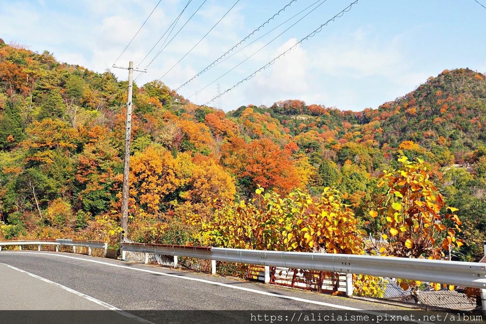【廣島】三瀧山絕景展望台、三瀧寺:跟著在地人的廣島市區穴場一日遊鐵馬之旅by「sokoiko!」