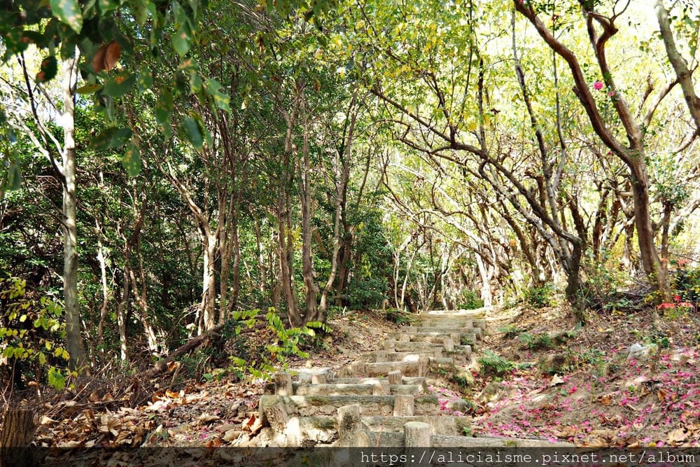 【廣島】三瀧山絕景展望台、三瀧寺:跟著在地人的廣島市區穴場一日遊鐵馬之旅by「sokoiko!」