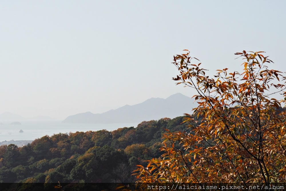【廣島】三瀧山絕景展望台、三瀧寺:跟著在地人的廣島市區穴場一日遊鐵馬之旅by「sokoiko!」