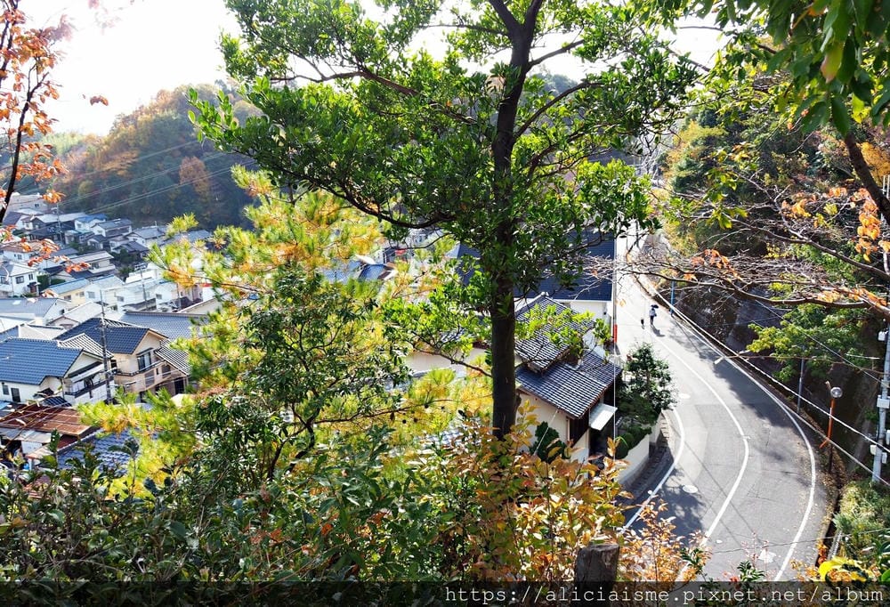 【廣島】三瀧山絕景展望台、三瀧寺:跟著在地人的廣島市區穴場一日遊鐵馬之旅by「sokoiko!」