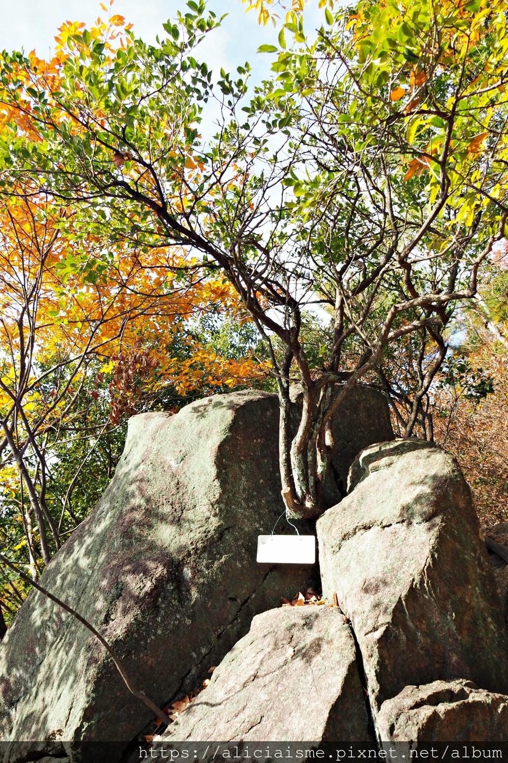 【廣島】三瀧山絕景展望台、三瀧寺：跟著在地人的廣島市區穴場一日遊鐵馬之旅by「sokoiko!」