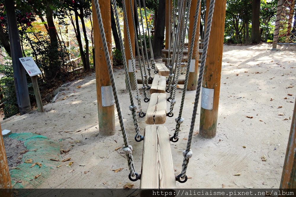 【廣島】三瀧山絕景展望台、三瀧寺:跟著在地人的廣島市區穴場一日遊鐵馬之旅by「sokoiko!」