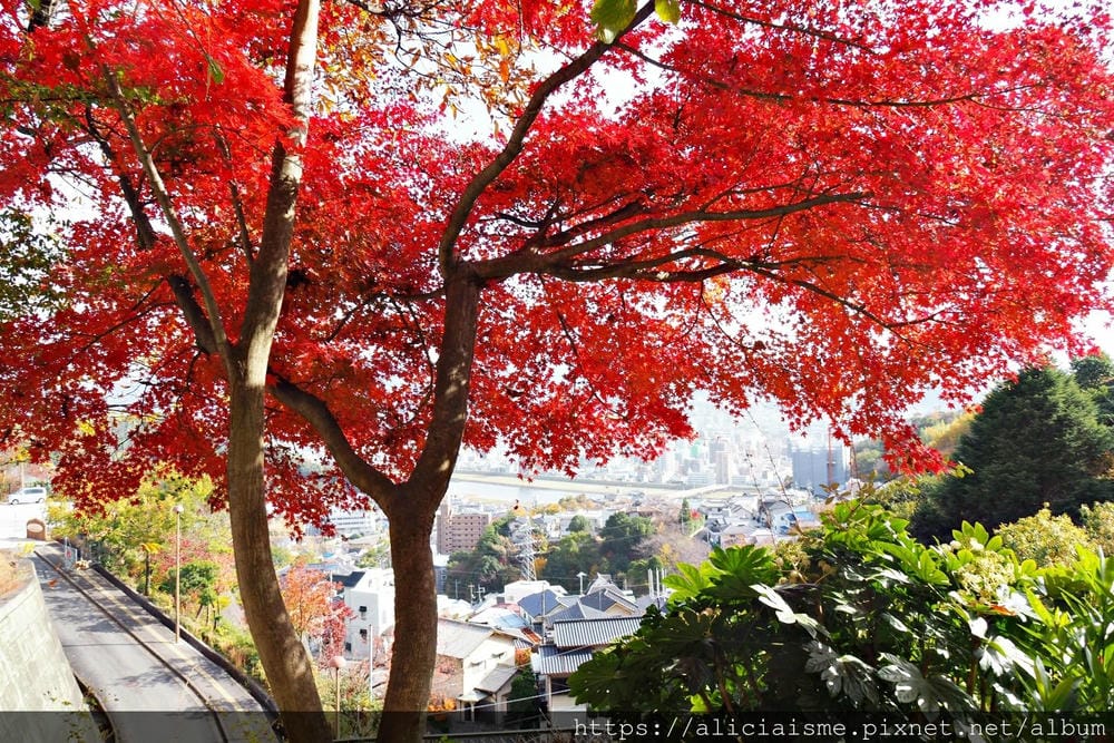 【廣島】三瀧山絕景展望台、三瀧寺:跟著在地人的廣島市區穴場一日遊鐵馬之旅by「sokoiko!」