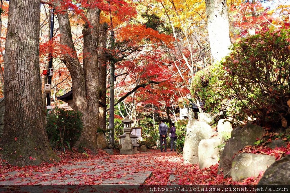 【廣島】三瀧山絕景展望台、三瀧寺:跟著在地人的廣島市區穴場一日遊鐵馬之旅by「sokoiko!」