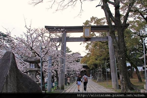 【福岡縣 北九州市】小倉城、小倉城庭園、八幡神社~櫻花名所古 【福岡縣 北九州市】小倉城、小倉城庭園、八幡神社~櫻花名所古