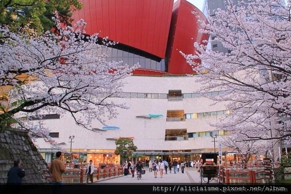 【福岡縣 北九州市】小倉城、小倉城庭園、八幡神社~櫻花名所古 【福岡縣 北九州市】小倉城、小倉城庭園、八幡神社~櫻花名所古