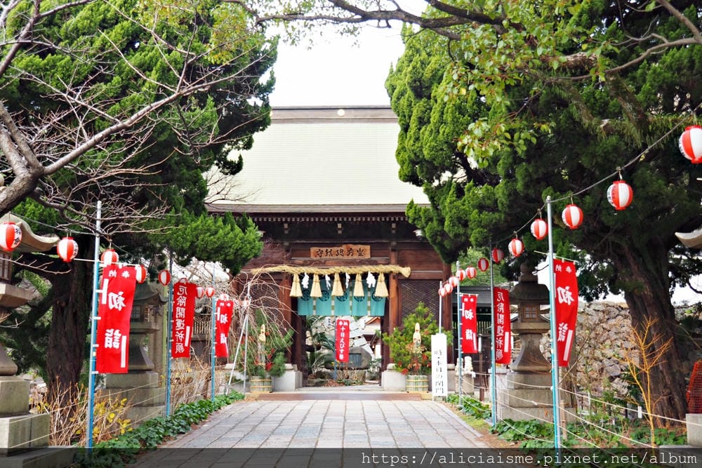 【福岡縣 北九州市】小倉城、小倉城庭園、八幡神社~櫻花名所古 【福岡縣 北九州市】小倉城、小倉城庭園、八幡神社~櫻花名所古