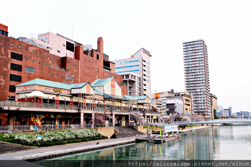 【福岡縣 | 小倉】中央商店街、魚町銀天街、京町散策：百年美味、古民家咖啡館、甜點店、活魚居酒屋